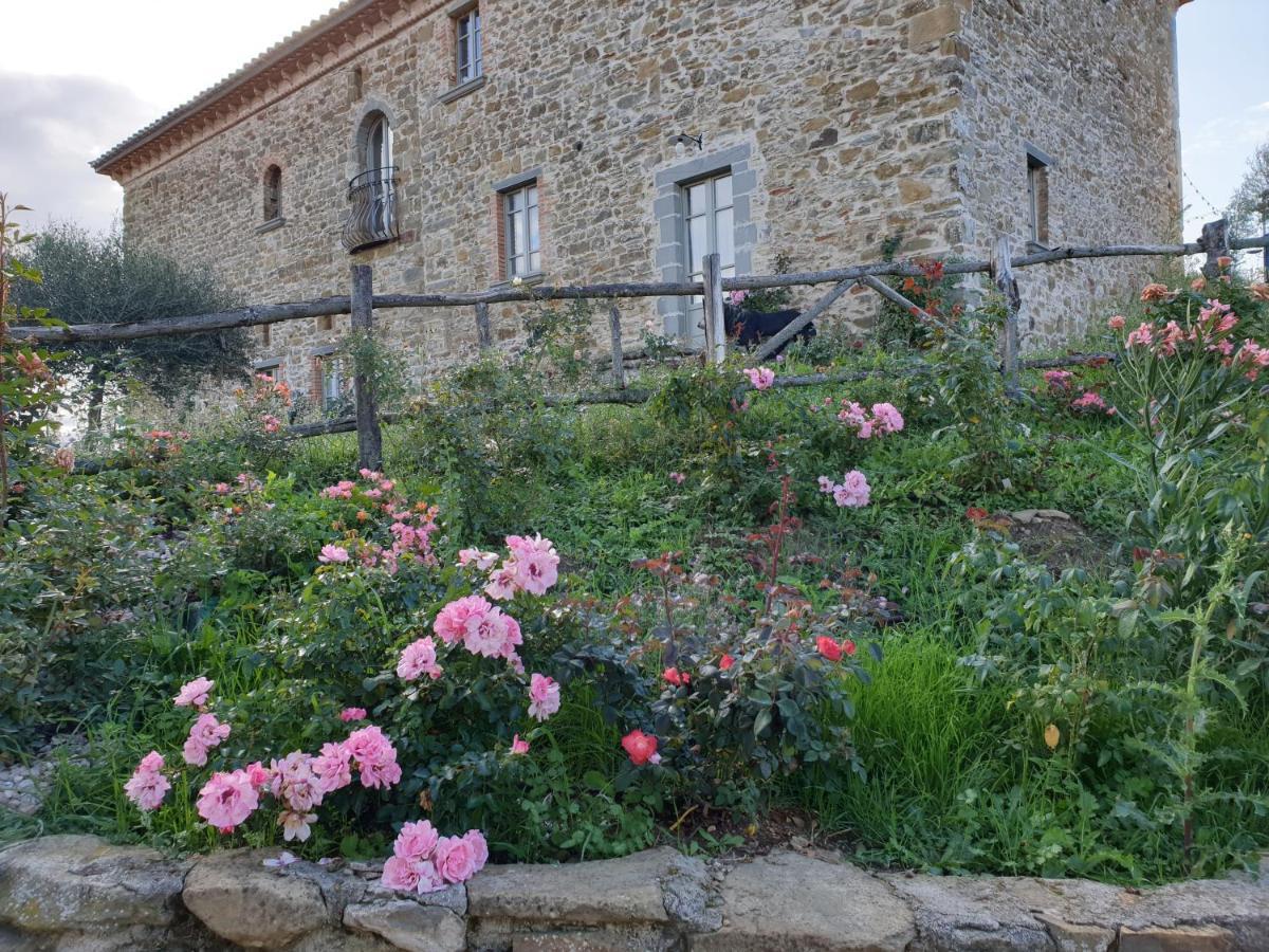 Podere Paradiso Villa Magione Exterior foto